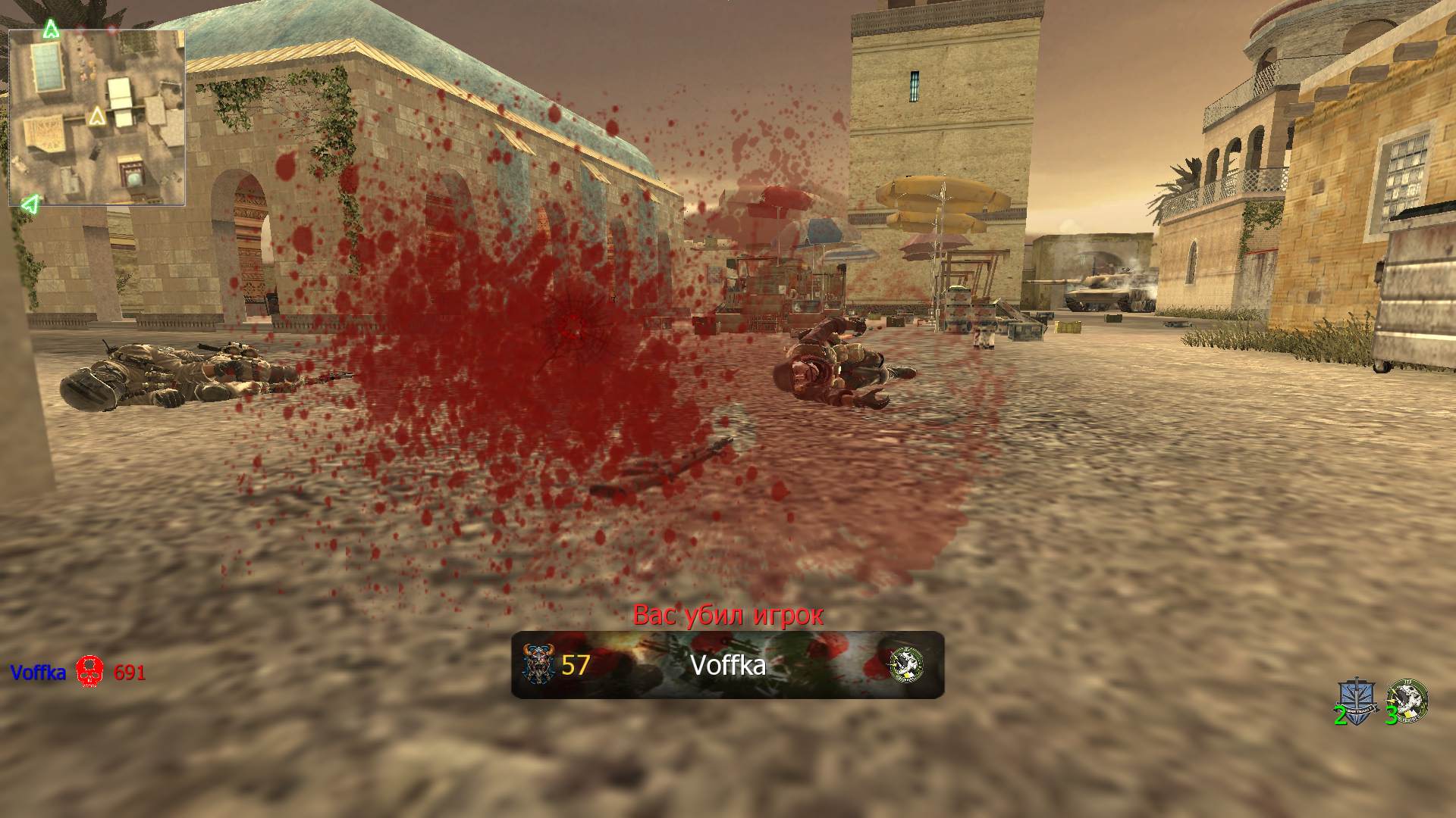 6910000.jpg